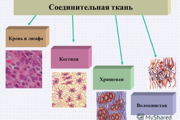 Кракен как зайти через тор браузер