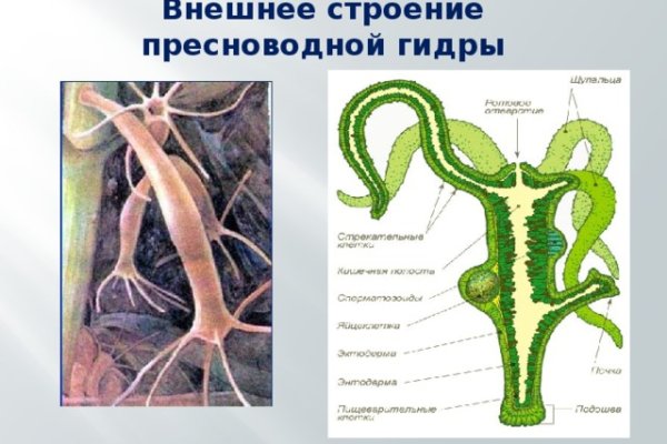 Регистрация на кракен