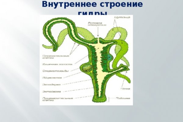 Кракен сайт работает