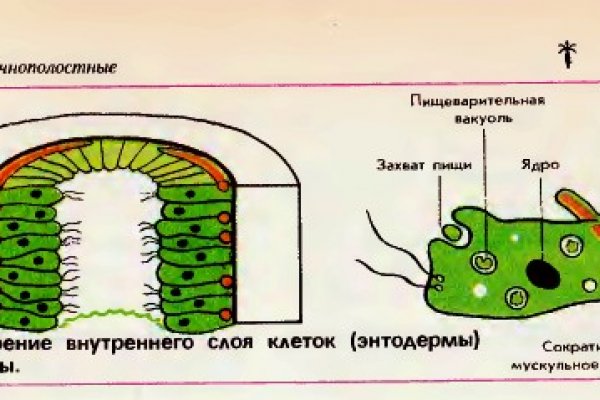 Что такое кракен сайт в россии