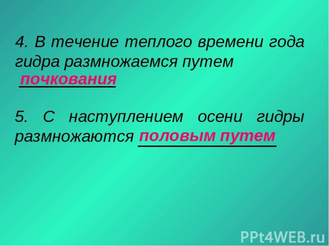 Кракен сайт вход официальный зеркало